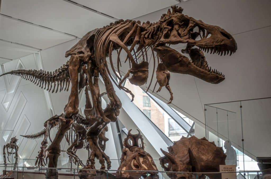 ROM - Royal Ontario Museum uma das principais atrações em Toronto