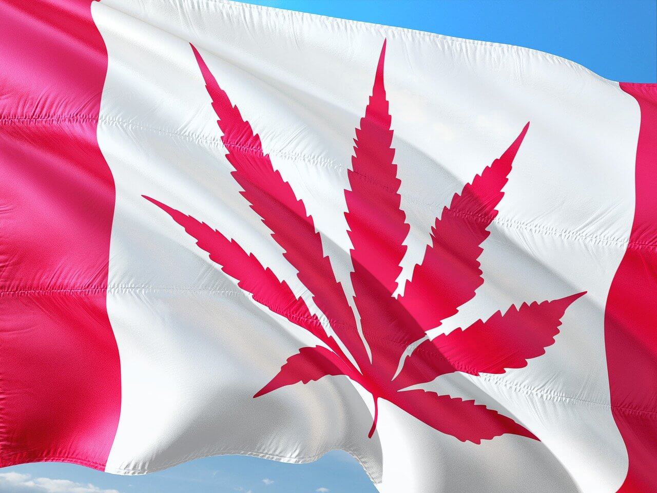 maconha legalizada no Canadá